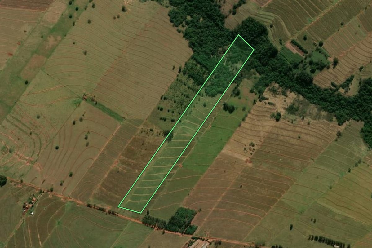 Imagem de satélite do imóvel rural em Tamboara (PR), com o contorno declarado no CAR desenhado por cima.