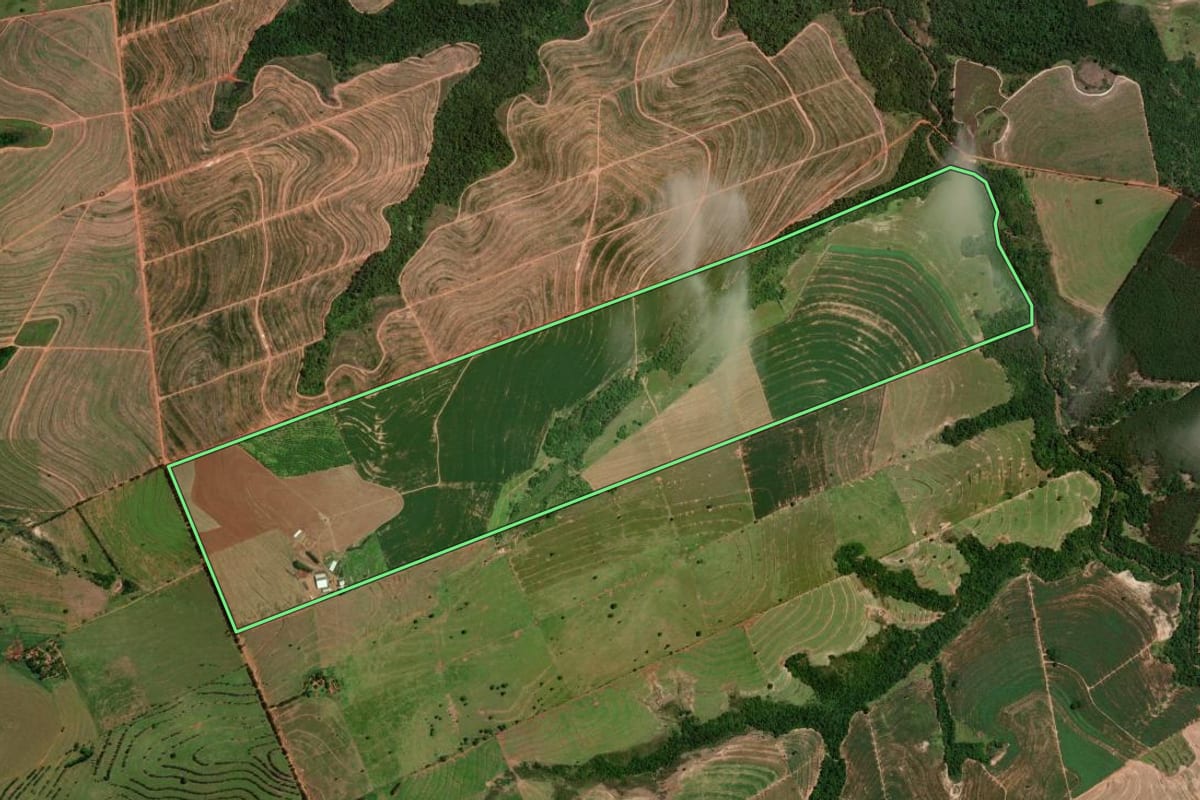 Imagem de satélite do imóvel rural em Tapejara (PR), com o contorno declarado no CAR desenhado por cima.