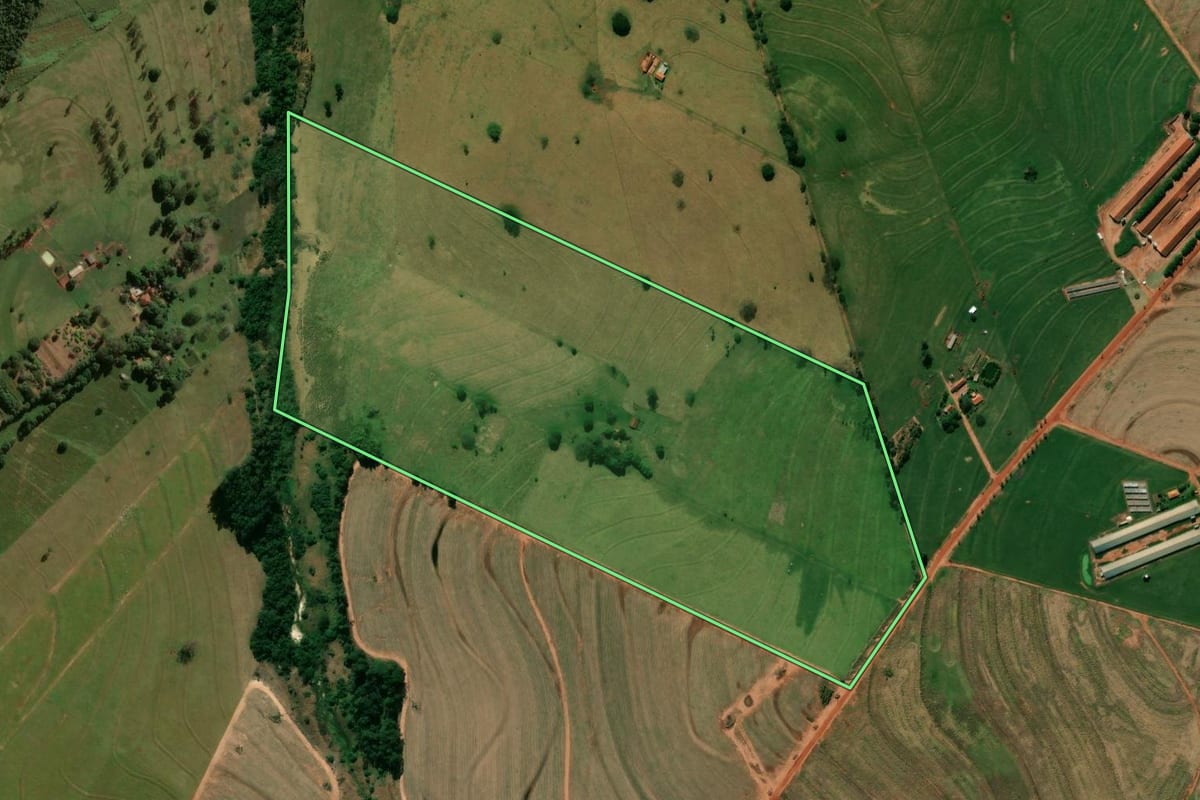 Imagem de satélite do imóvel rural em Tapejara (PR), com o contorno declarado no CAR desenhado por cima.