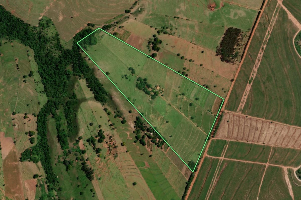 Imagem de satélite do imóvel rural em Tapejara (PR), com o contorno declarado no CAR desenhado por cima.