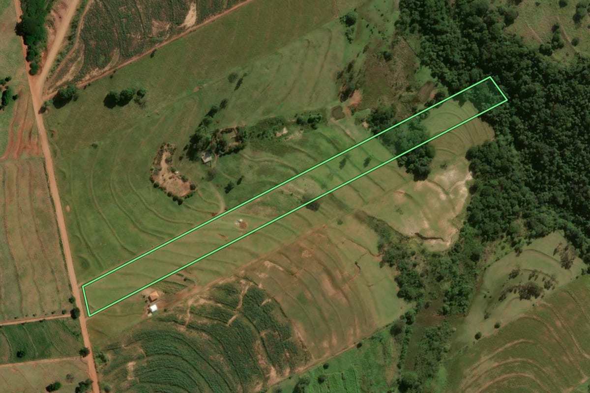 Imagem de satélite do imóvel rural em Tapejara (PR), com o contorno declarado no CAR desenhado por cima.
