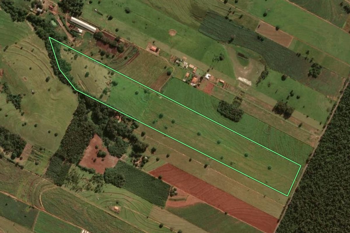 Imagem de satélite do imóvel rural em Tapejara (PR), com o contorno declarado no CAR desenhado por cima.