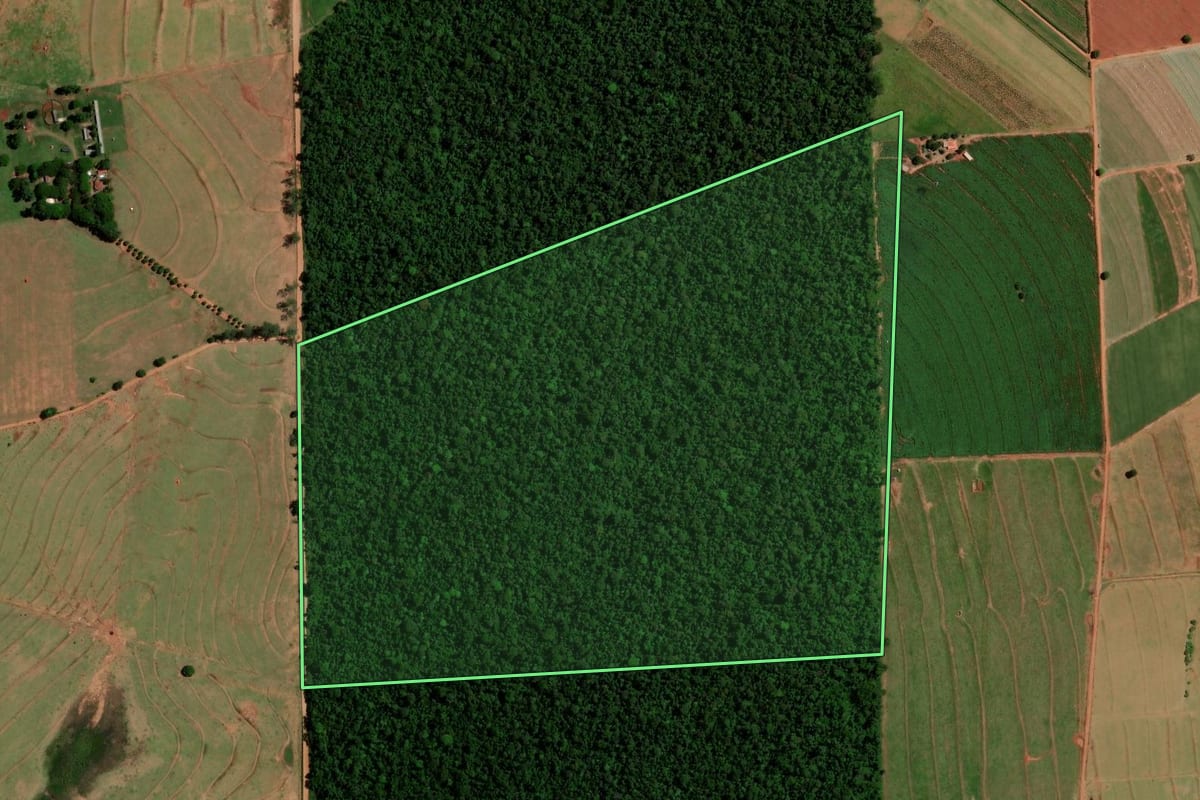 Imagem de satélite do imóvel rural em Tapejara (PR), com o contorno declarado no CAR desenhado por cima.
