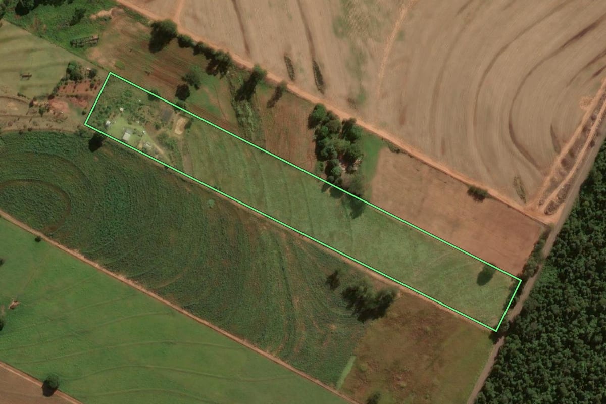 Imagem de satélite do imóvel rural em Tapejara (PR), com o contorno declarado no CAR desenhado por cima.