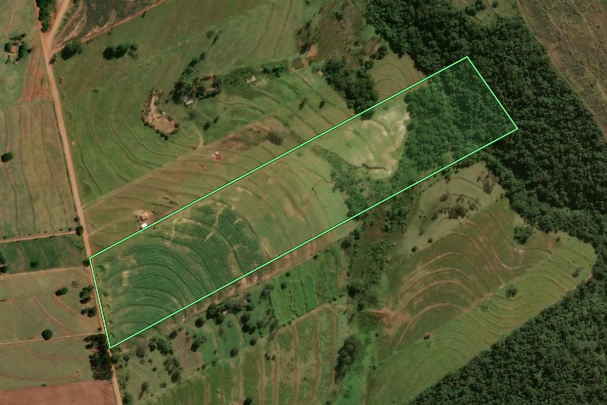 Imagem de satélite do imóvel rural em Tapejara (PR), com o contorno declarado no CAR desenhado por cima.