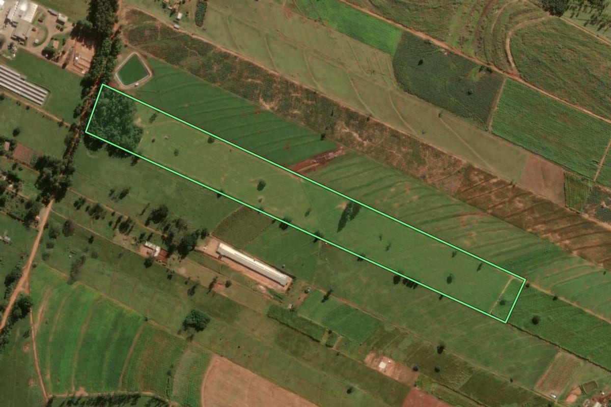 Imagem de satélite do imóvel rural em Tapejara (PR), com o contorno declarado no CAR desenhado por cima.