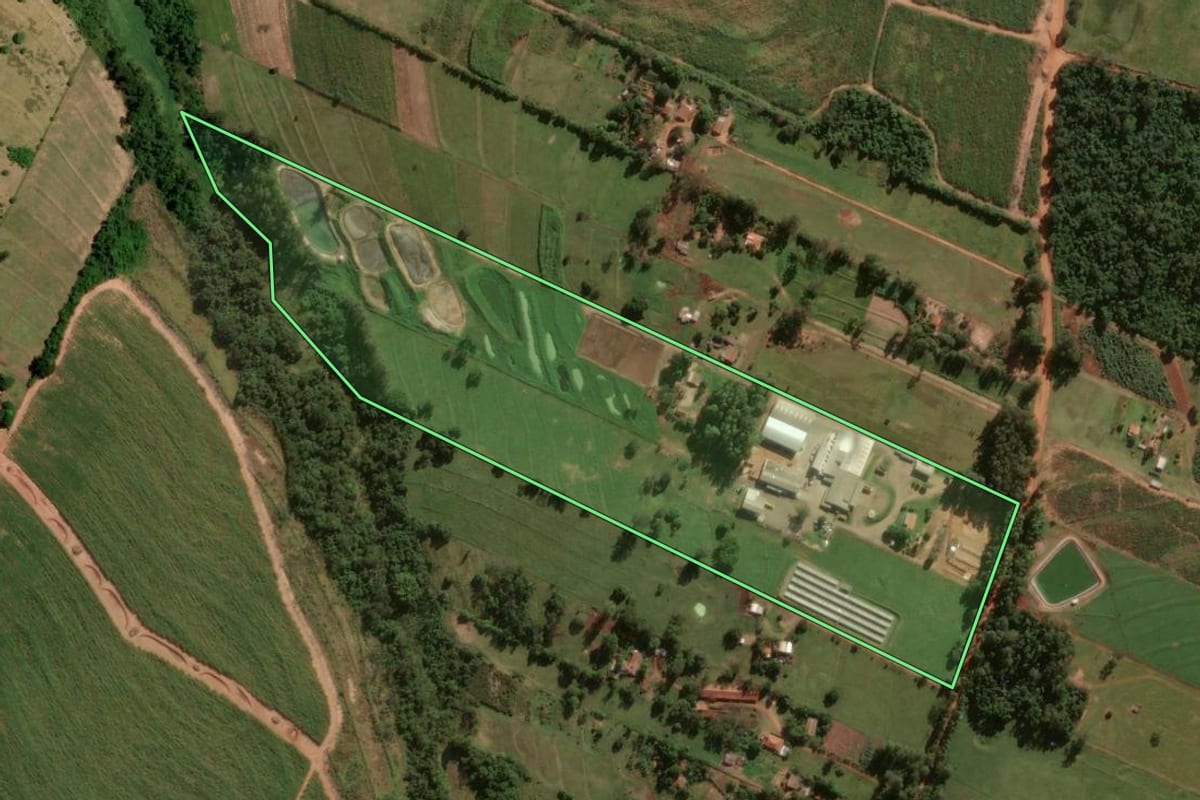 Imagem de satélite do imóvel rural em Tapejara (PR), com o contorno declarado no CAR desenhado por cima.