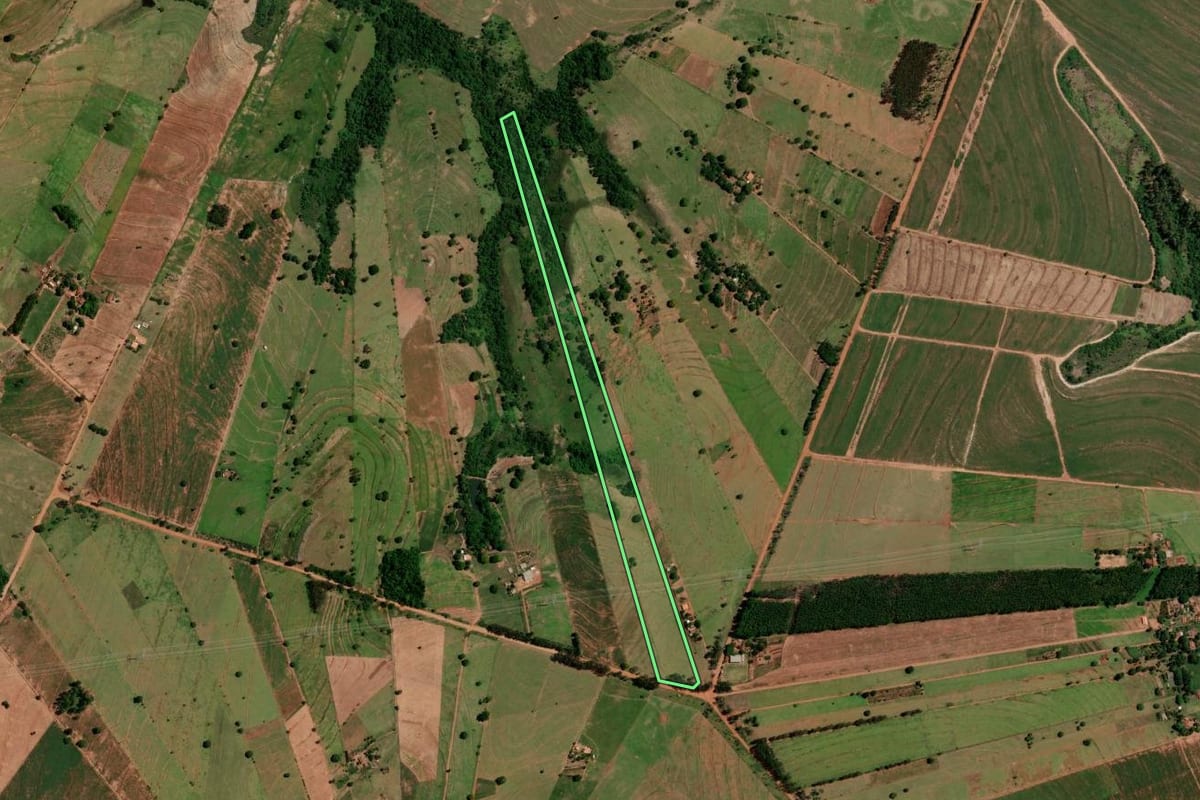Imagem de satélite do imóvel rural em Tapejara (PR), com o contorno declarado no CAR desenhado por cima.
