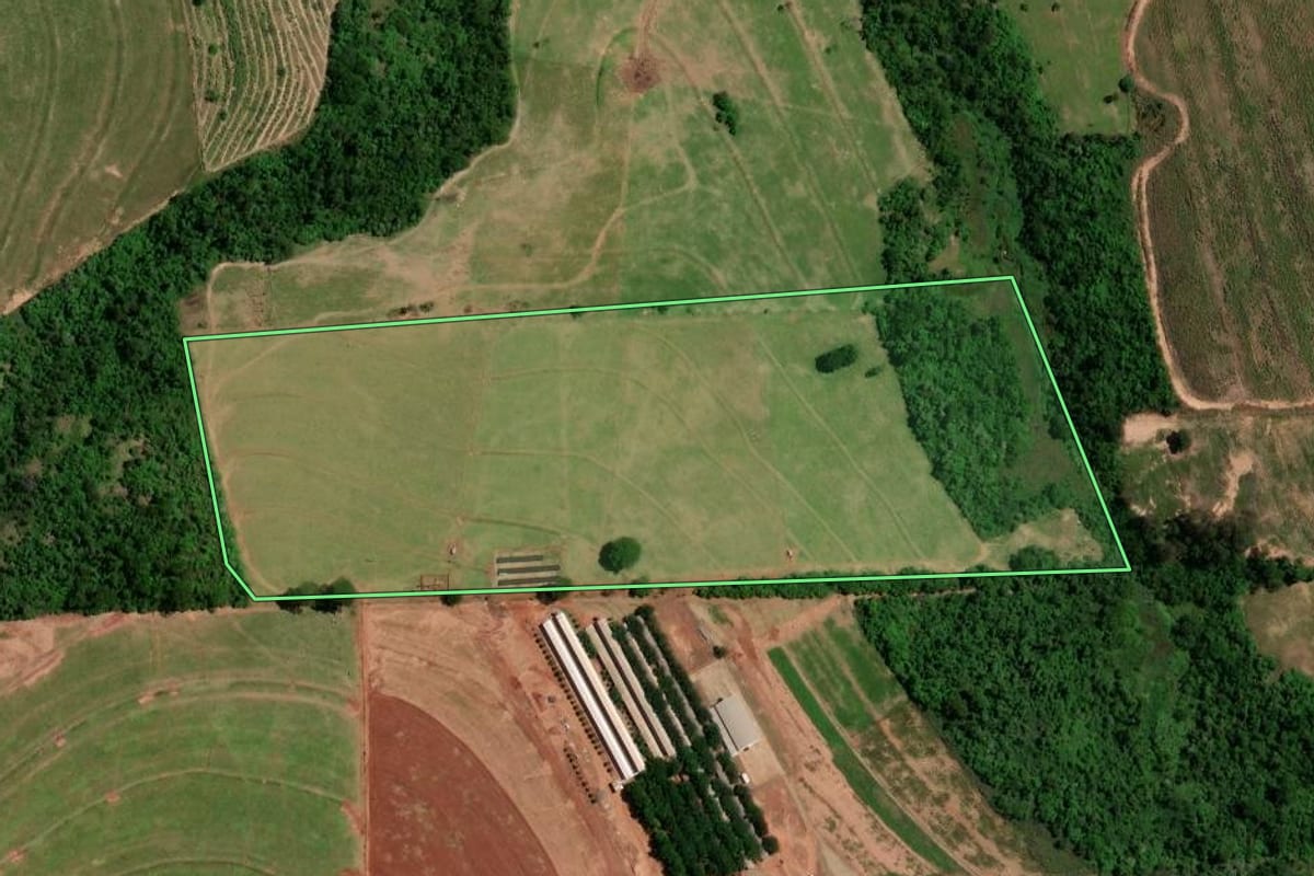 Imagem de satélite do imóvel rural em Tapejara (PR), com o contorno declarado no CAR desenhado por cima.