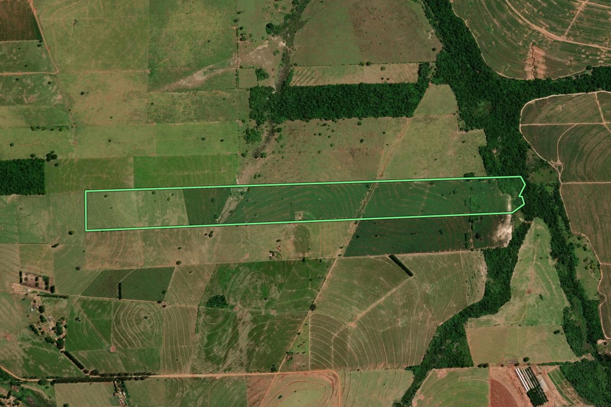Imagem de satélite do imóvel rural em Tapejara (PR), com o contorno declarado no CAR desenhado por cima.