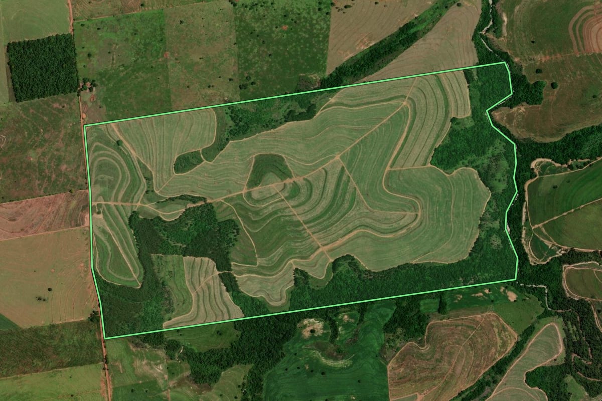 Imagem de satélite do imóvel rural em Tapejara (PR), com o contorno declarado no CAR desenhado por cima.