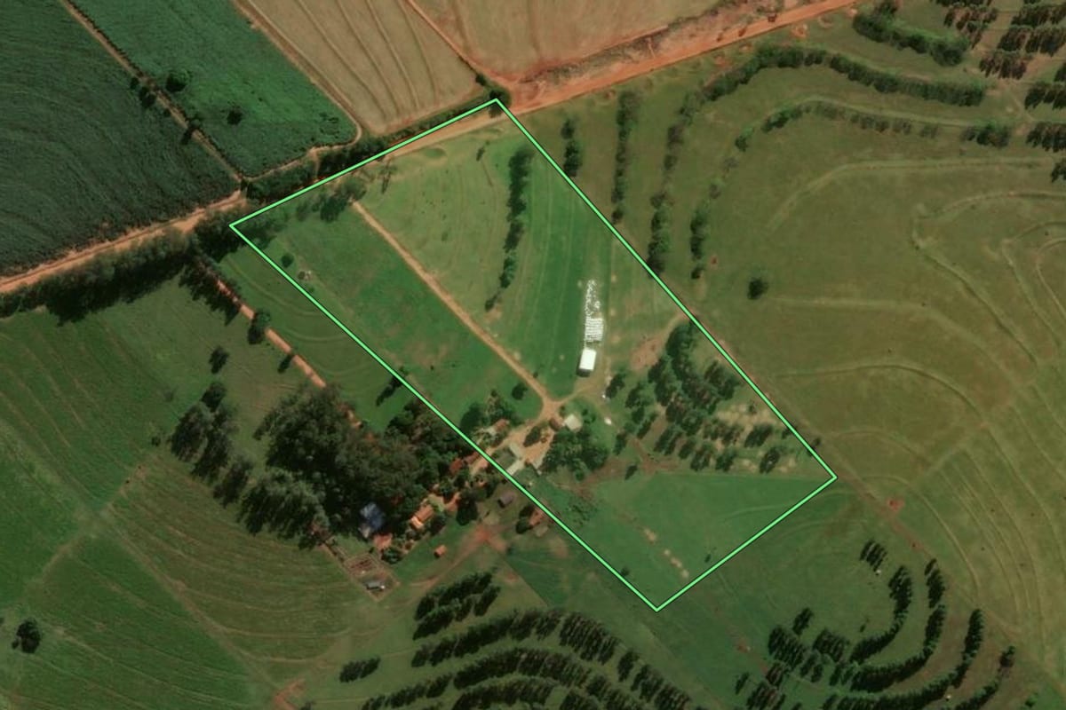Imagem de satélite do imóvel rural em Tapejara (PR), com o contorno declarado no CAR desenhado por cima.