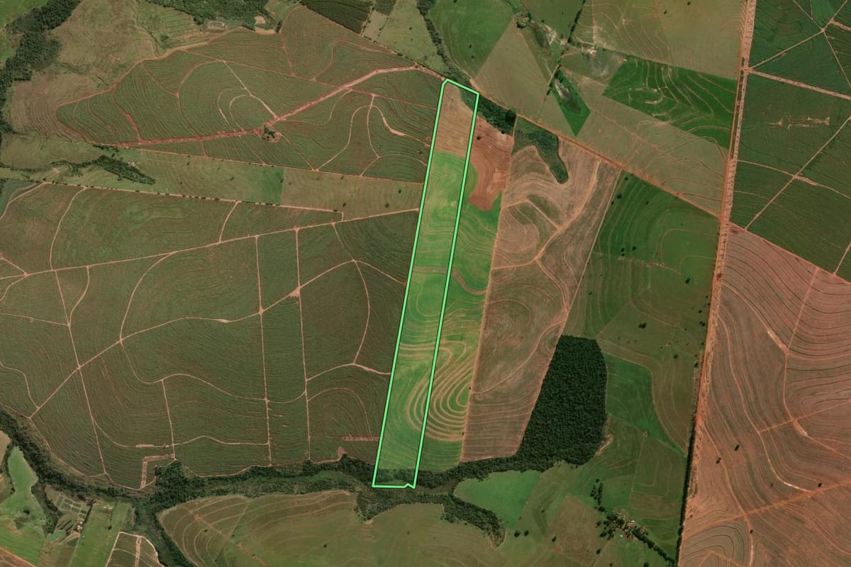 Imagem de satélite do imóvel rural em Tapejara (PR), com o contorno declarado no CAR desenhado por cima.