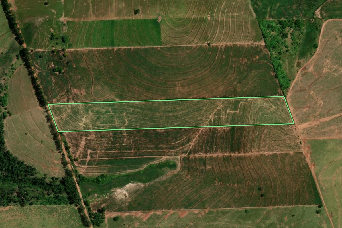 Imagem de satélite do imóvel rural em Tapejara (PR), com o contorno declarado no CAR desenhado por cima.