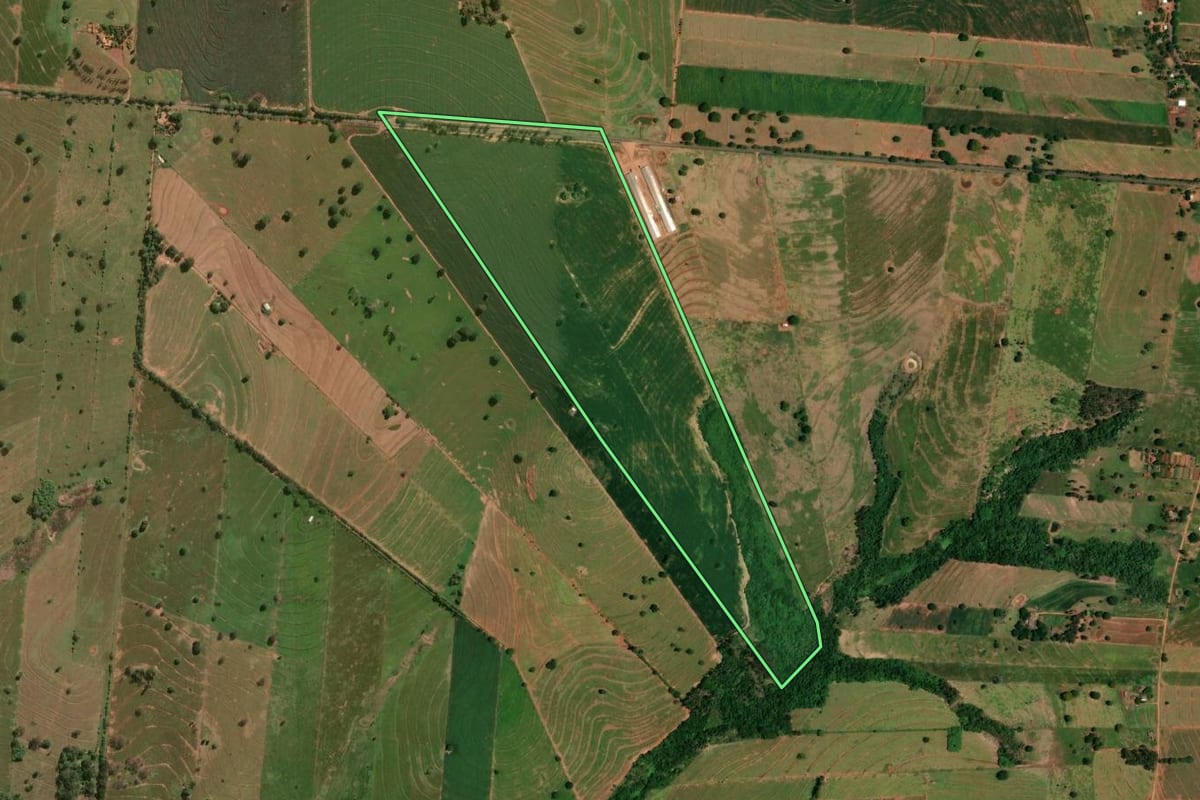 Imagem de satélite do imóvel rural em Tapira (PR), com o contorno declarado no CAR desenhado por cima.