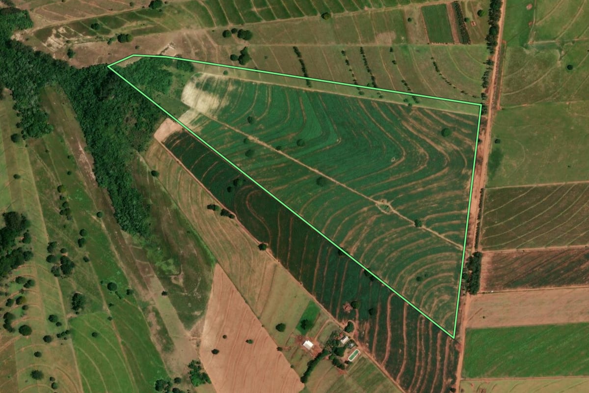 Imagem de satélite do imóvel rural em Tapira (PR), com o contorno declarado no CAR desenhado por cima.