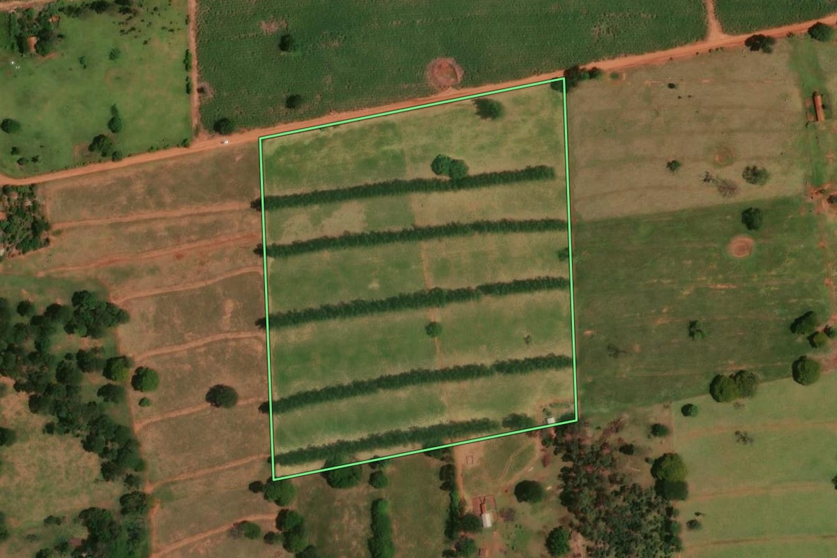 Imagem de satélite do imóvel rural em Tapira (PR), com o contorno declarado no CAR desenhado por cima.