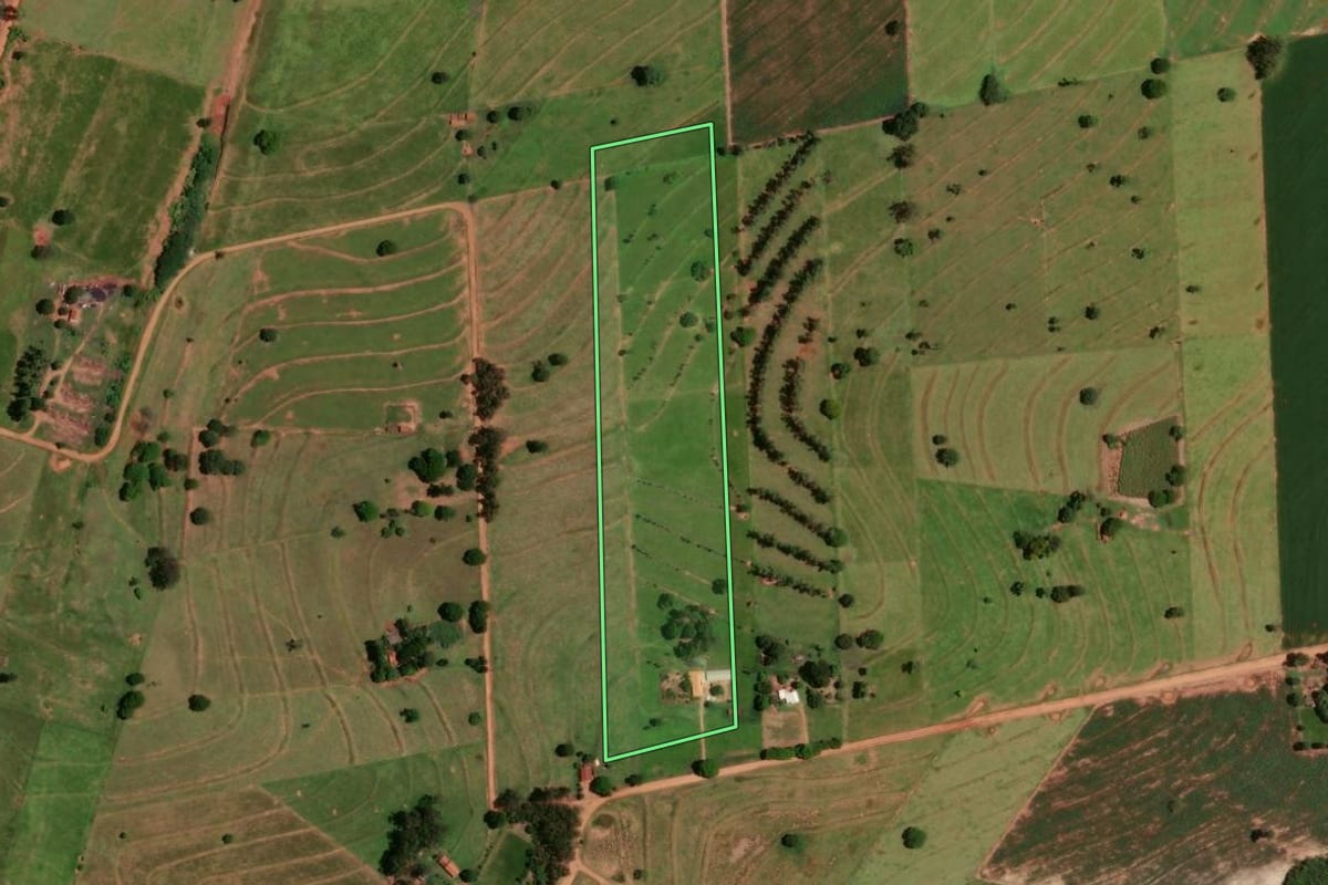 Imagem de satélite do imóvel rural em Tapira (PR), com o contorno declarado no CAR desenhado por cima.