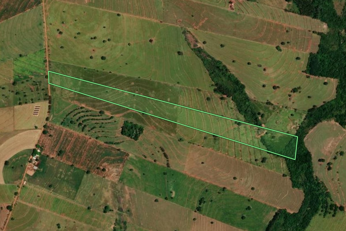 Imagem de satélite do imóvel rural em Tapira (PR), com o contorno declarado no CAR desenhado por cima.