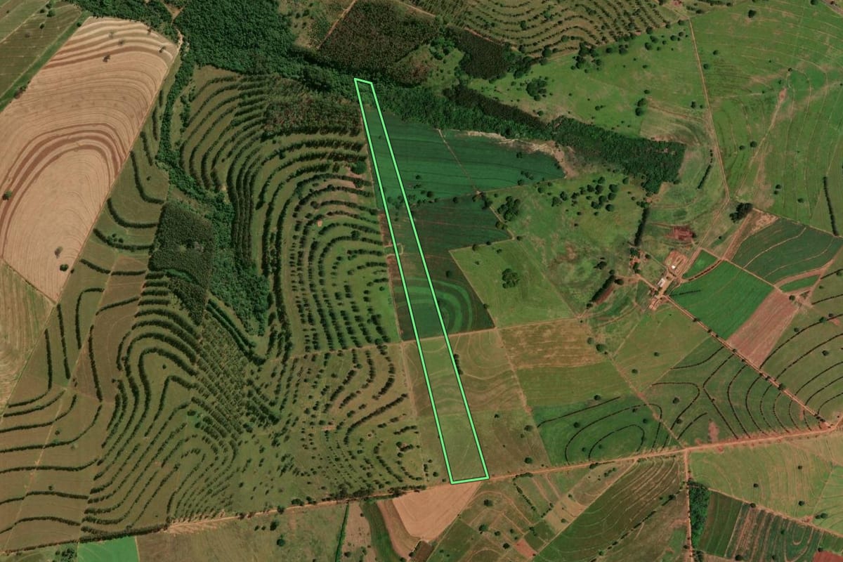 Imagem de satélite do imóvel rural em Tapira (PR), com o contorno declarado no CAR desenhado por cima.