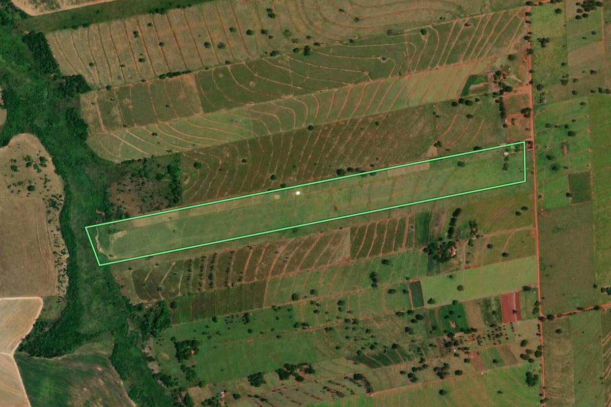 Imagem de satélite do imóvel rural em Tapira (PR), com o contorno declarado no CAR desenhado por cima.