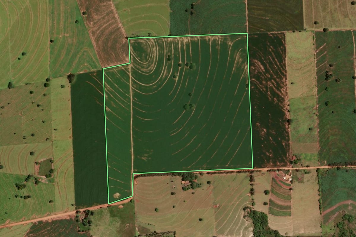 Imagem de satélite do imóvel rural em Tapira (PR), com o contorno declarado no CAR desenhado por cima.
