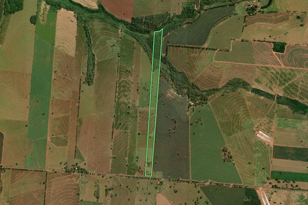 Imagem de satélite do imóvel rural em Tapira (PR), com o contorno declarado no CAR desenhado por cima.