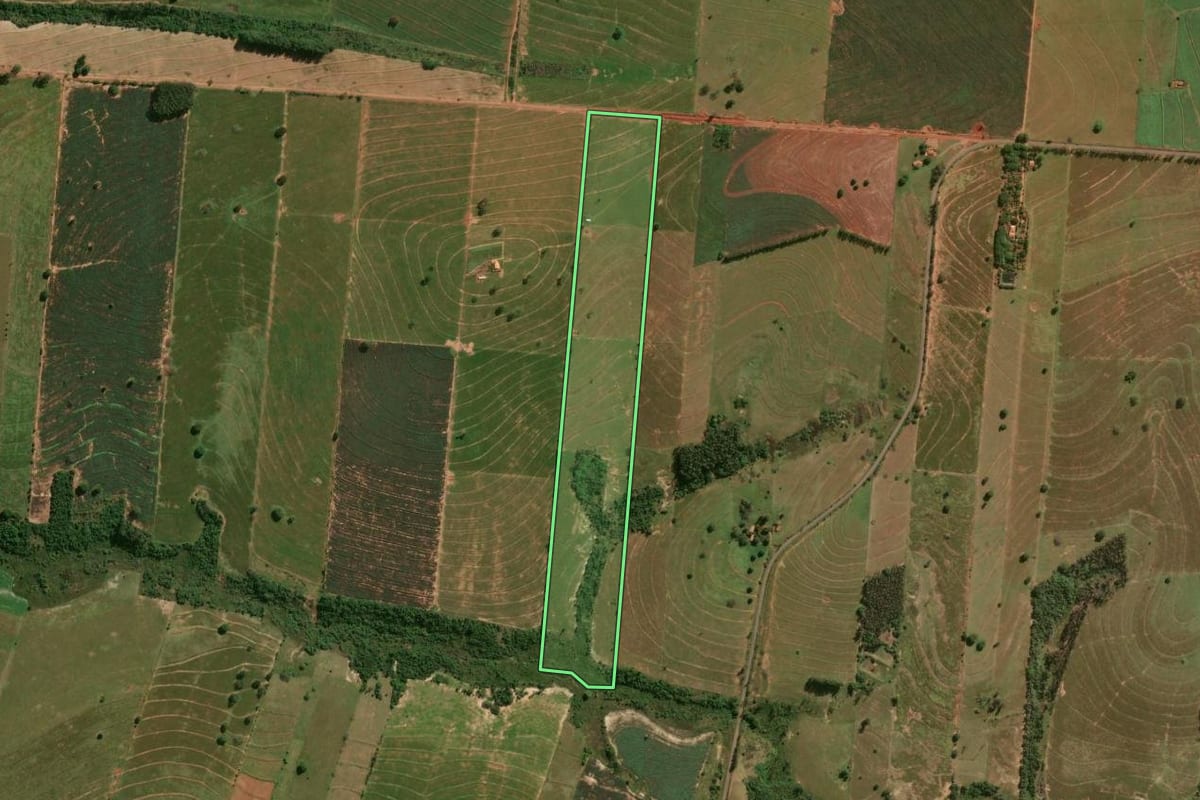 Imagem de satélite do imóvel rural em Tapira (PR), com o contorno declarado no CAR desenhado por cima.