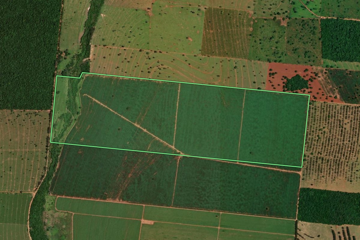 Imagem de satélite do imóvel rural em Tapira (PR), com o contorno declarado no CAR desenhado por cima.