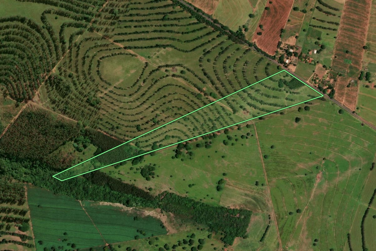 Imagem de satélite do imóvel rural em Tapira (PR), com o contorno declarado no CAR desenhado por cima.
