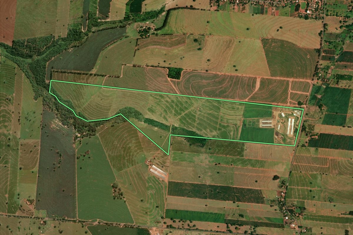 Imagem de satélite do imóvel rural em Tapira (PR), com o contorno declarado no CAR desenhado por cima.