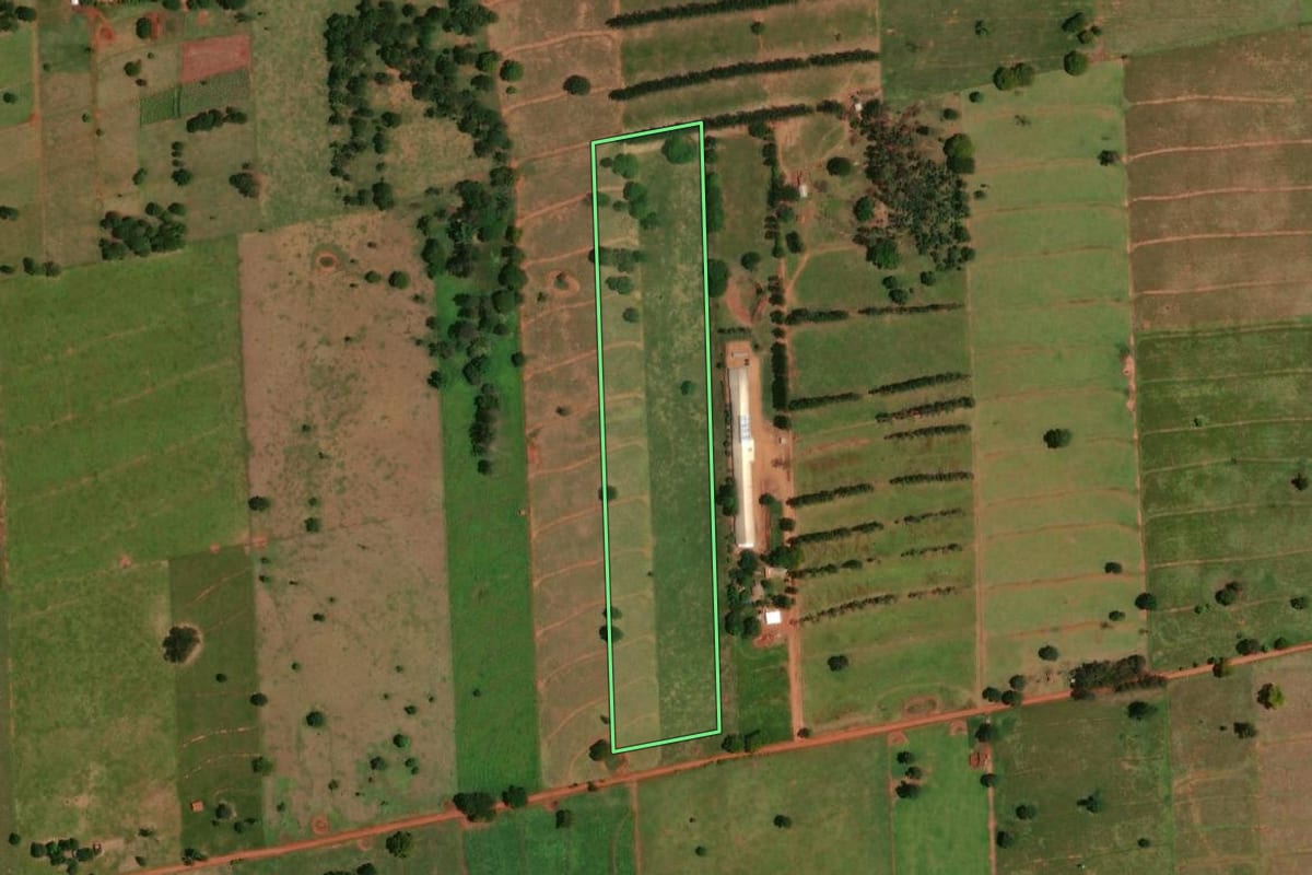 Imagem de satélite do imóvel rural em Tapira (PR), com o contorno declarado no CAR desenhado por cima.