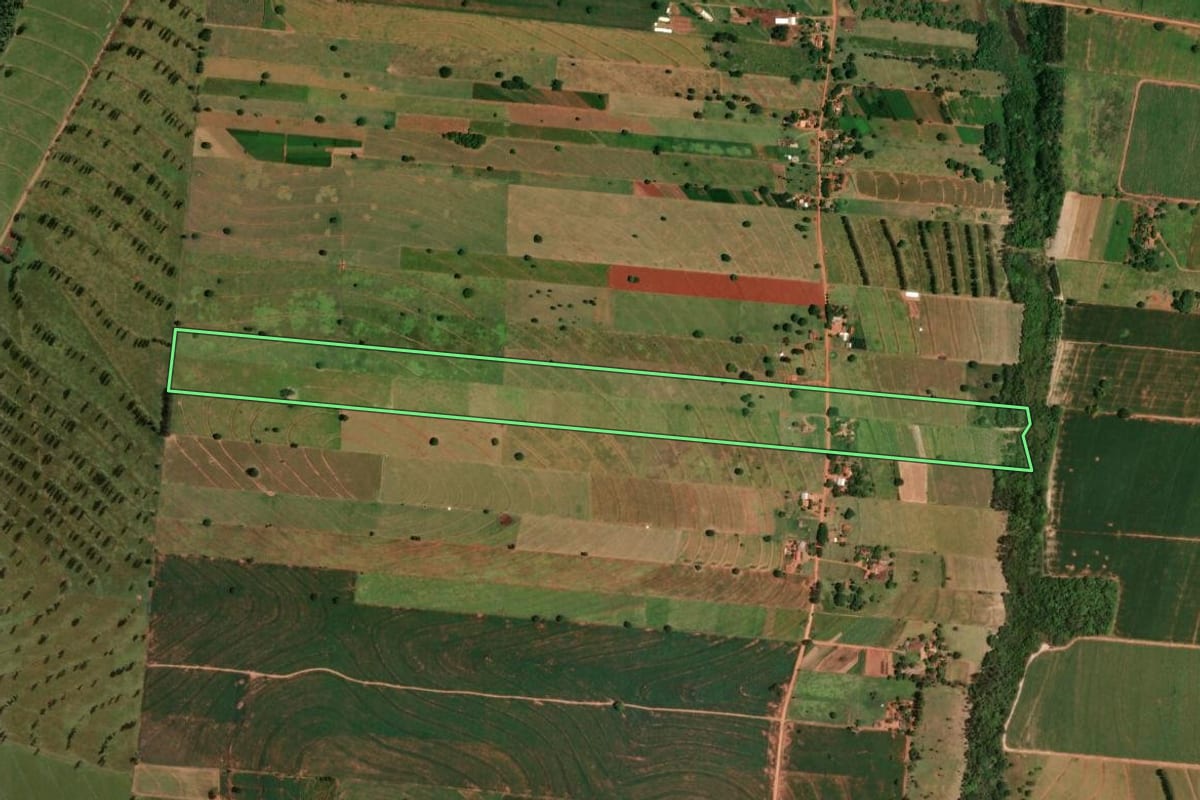 Imagem de satélite do imóvel rural em Tapira (PR), com o contorno declarado no CAR desenhado por cima.
