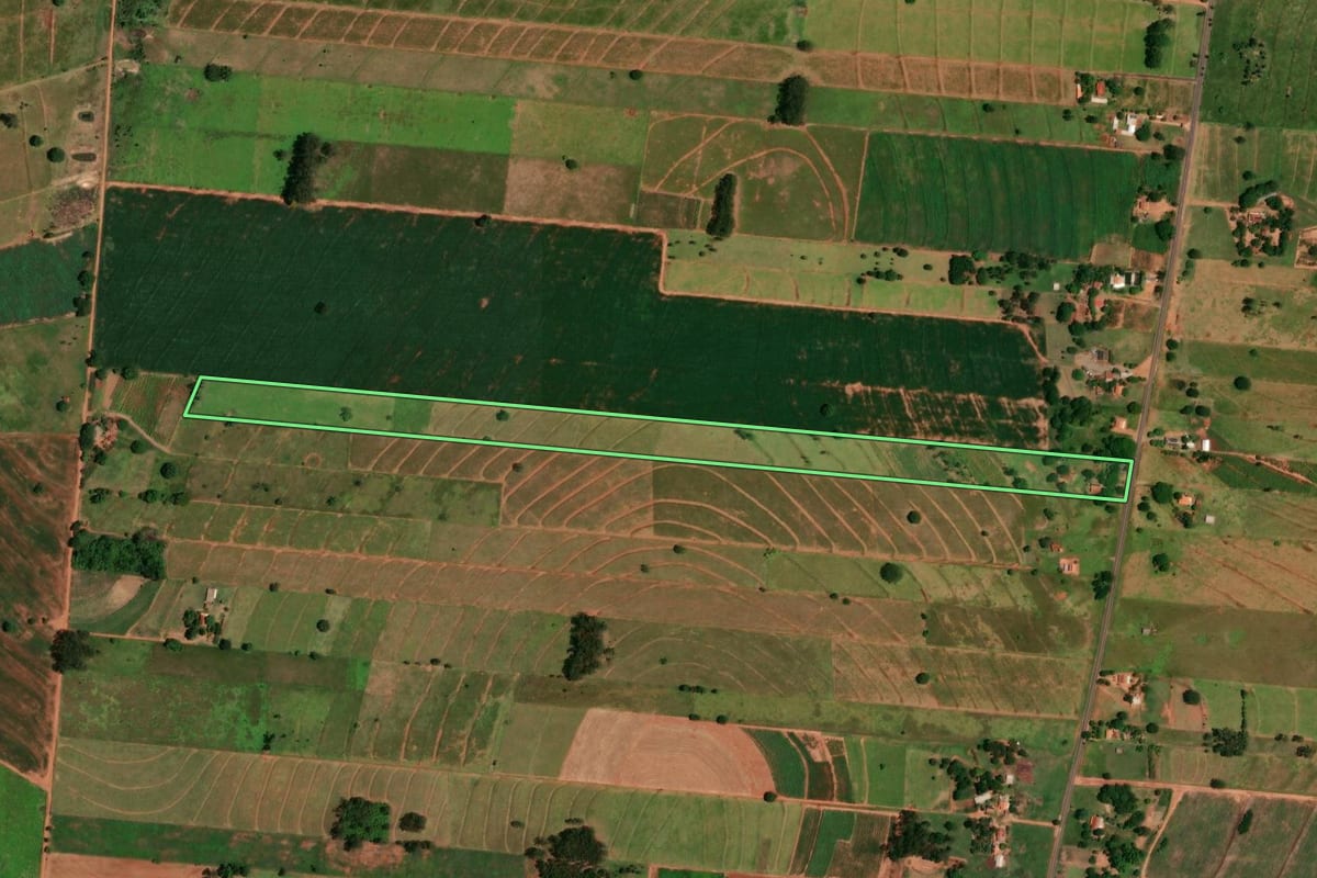 Imagem de satélite do imóvel rural em Tapira (PR), com o contorno declarado no CAR desenhado por cima.
