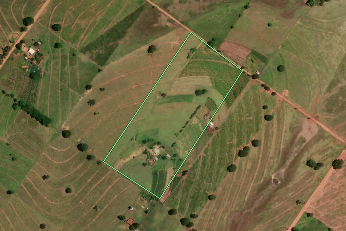 Imagem de satélite do imóvel rural em Tapira (PR), com o contorno declarado no CAR desenhado por cima.