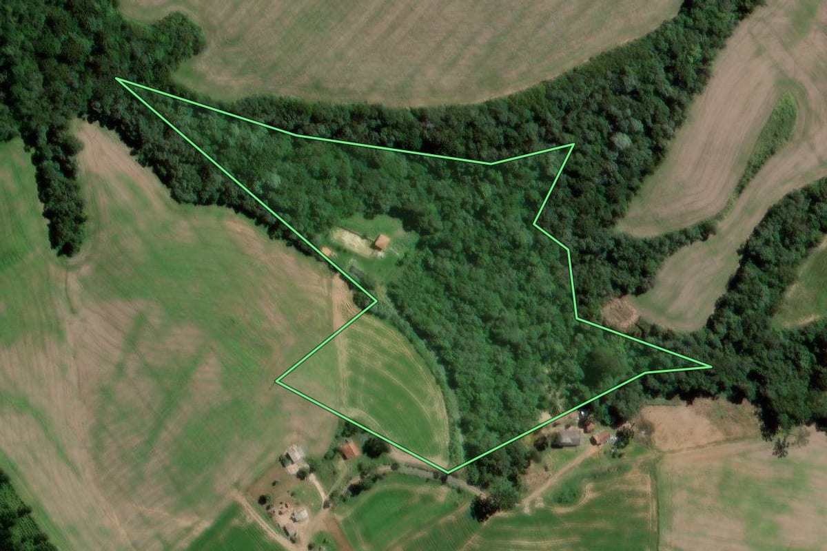 Imagem de satélite do imóvel rural em Teixeira Soares (PR), com o contorno declarado no CAR desenhado por cima.