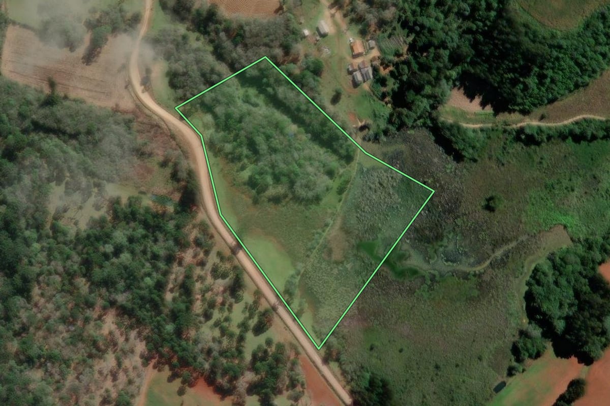 Imagem de satélite do imóvel rural em Teixeira Soares (PR), com o contorno declarado no CAR desenhado por cima.