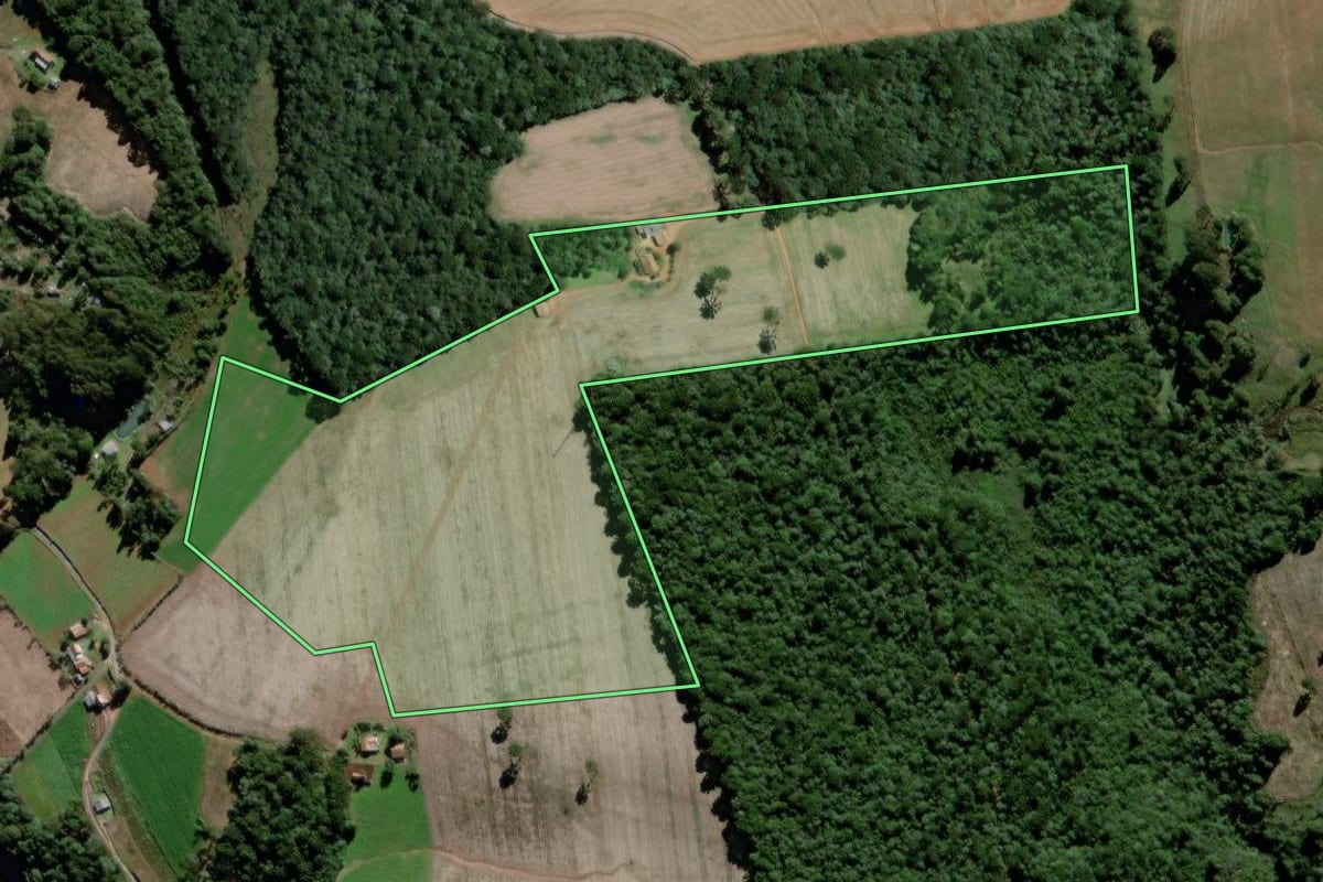 Imagem de satélite do imóvel rural em Teixeira Soares (PR), com o contorno declarado no CAR desenhado por cima.