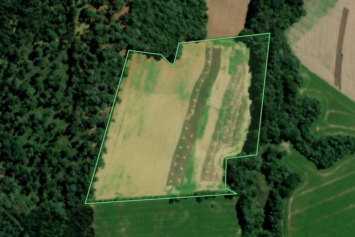 Imagem de satélite do imóvel rural em Teixeira Soares (PR), com o contorno declarado no CAR desenhado por cima.