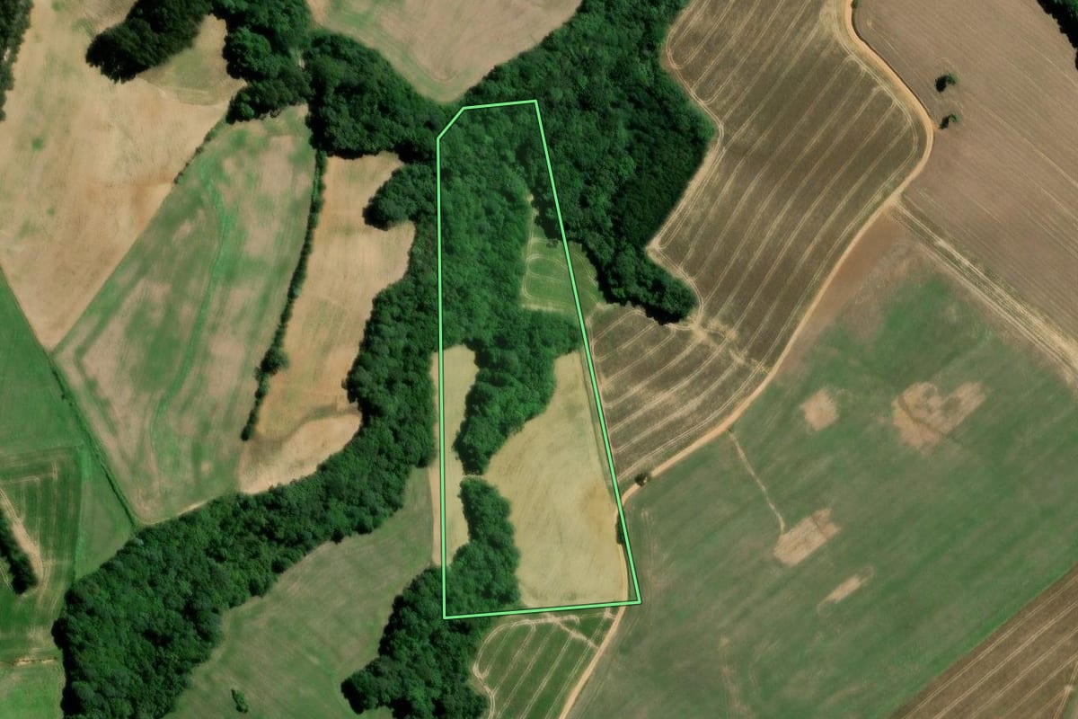 Imagem de satélite do imóvel rural em Teixeira Soares (PR), com o contorno declarado no CAR desenhado por cima.