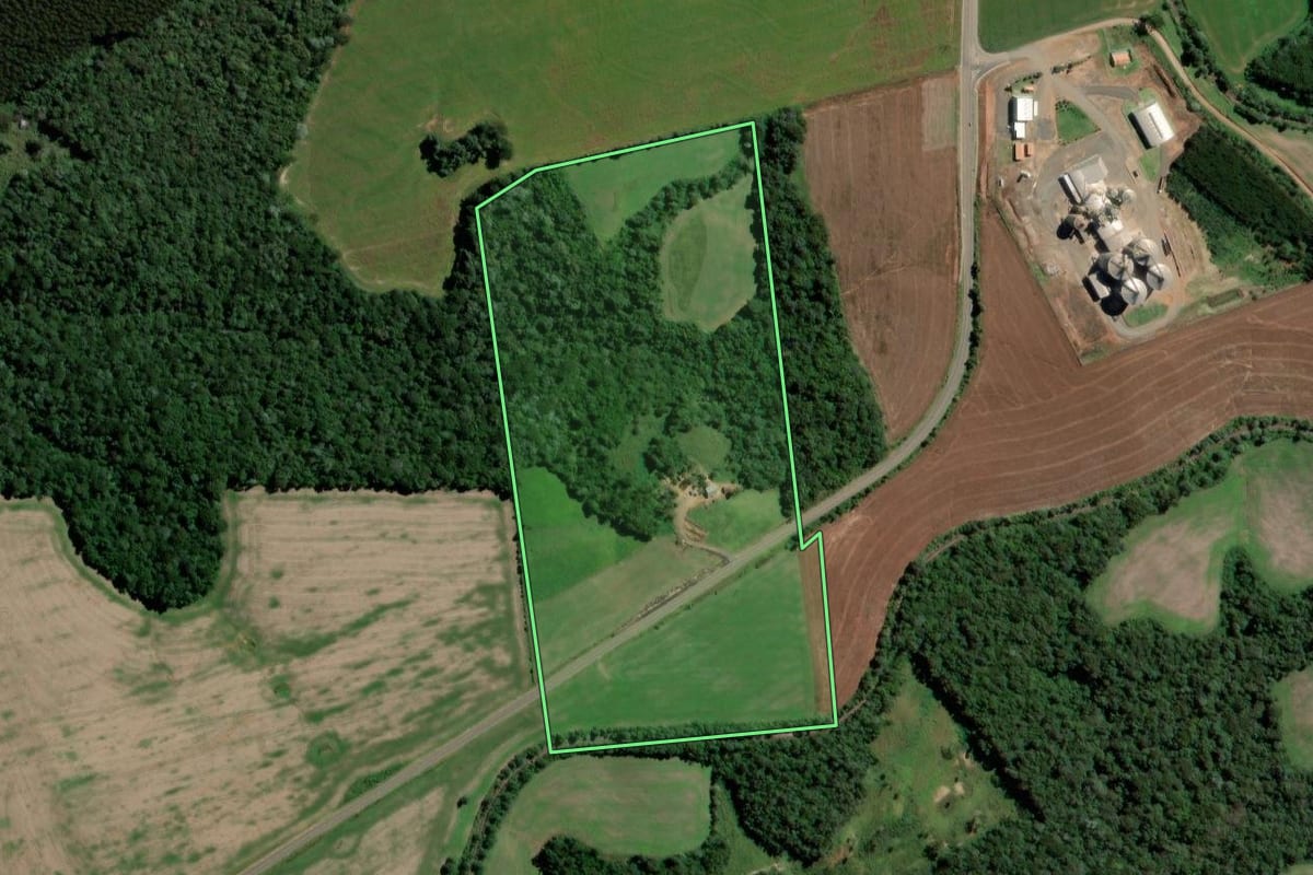 Imagem de satélite do imóvel rural em Teixeira Soares (PR), com o contorno declarado no CAR desenhado por cima.