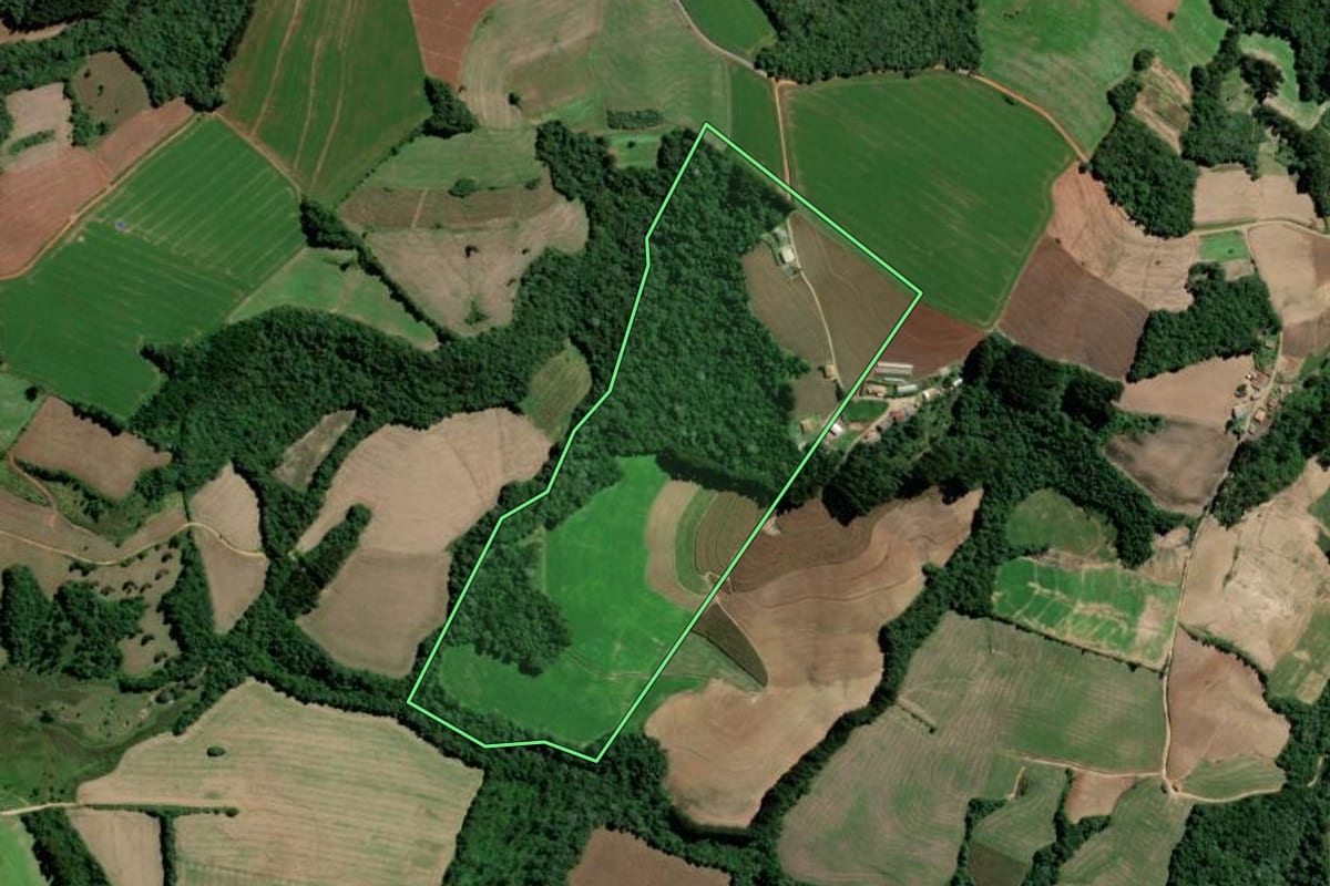 Imagem de satélite do imóvel rural em Teixeira Soares (PR), com o contorno declarado no CAR desenhado por cima.