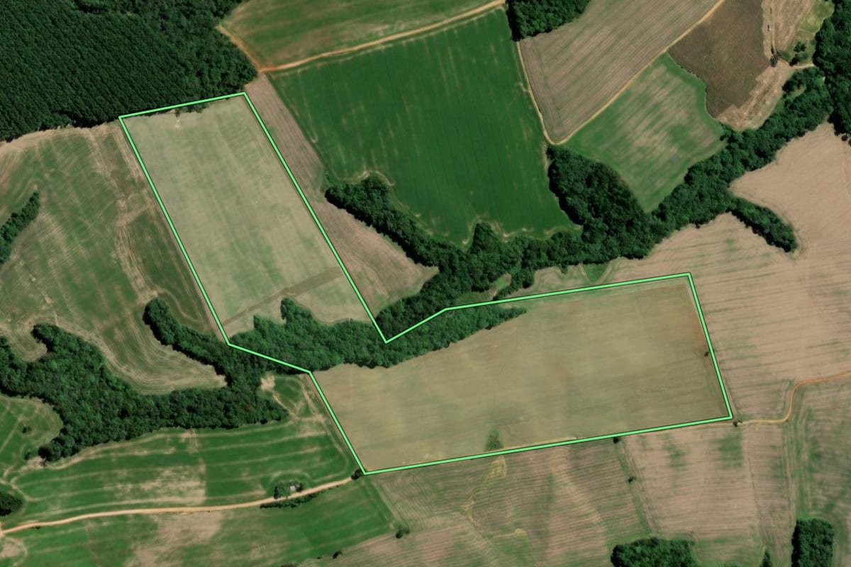 Imagem de satélite do imóvel rural em Teixeira Soares (PR), com o contorno declarado no CAR desenhado por cima.