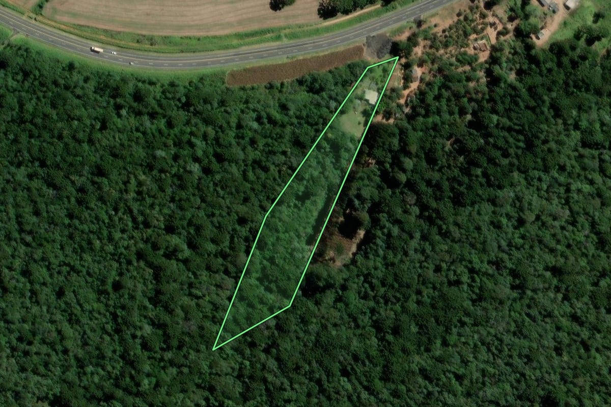 Imagem de satélite do imóvel rural em Teixeira Soares (PR), com o contorno declarado no CAR desenhado por cima.