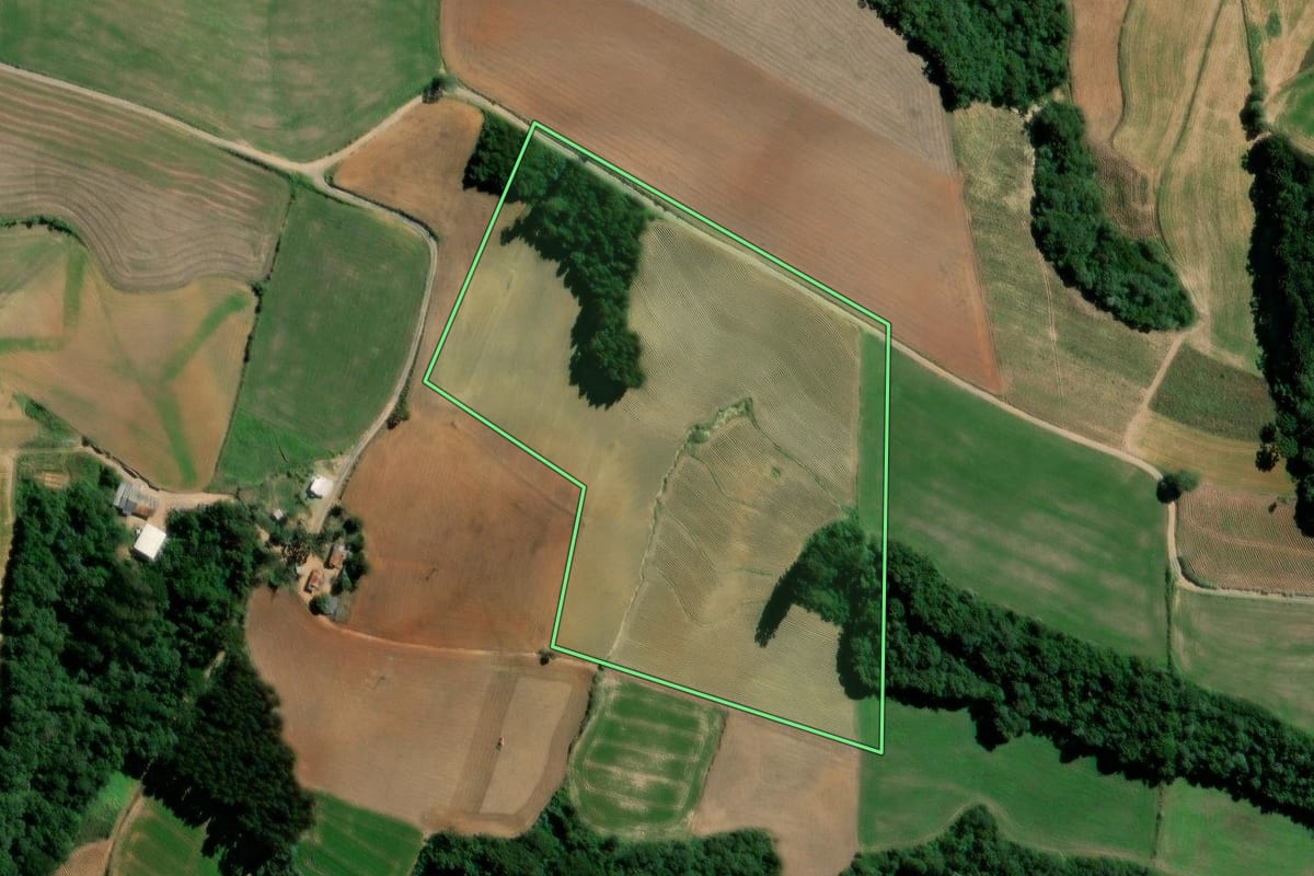 Imagem de satélite do imóvel rural em Teixeira Soares (PR), com o contorno declarado no CAR desenhado por cima.