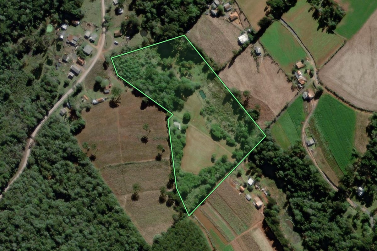 Imagem de satélite do imóvel rural em Teixeira Soares (PR), com o contorno declarado no CAR desenhado por cima.