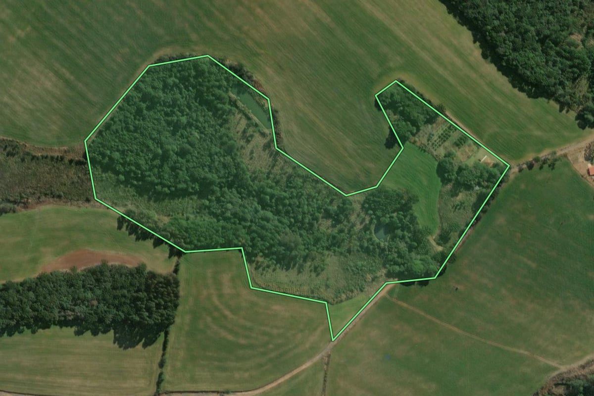 Imagem de satélite do imóvel rural em Teixeira Soares (PR), com o contorno declarado no CAR desenhado por cima.