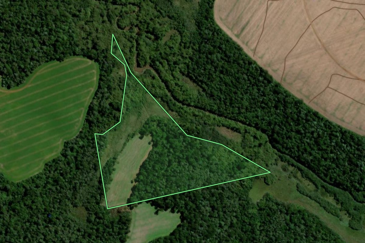 Imagem de satélite do imóvel rural em Teixeira Soares (PR), com o contorno declarado no CAR desenhado por cima.