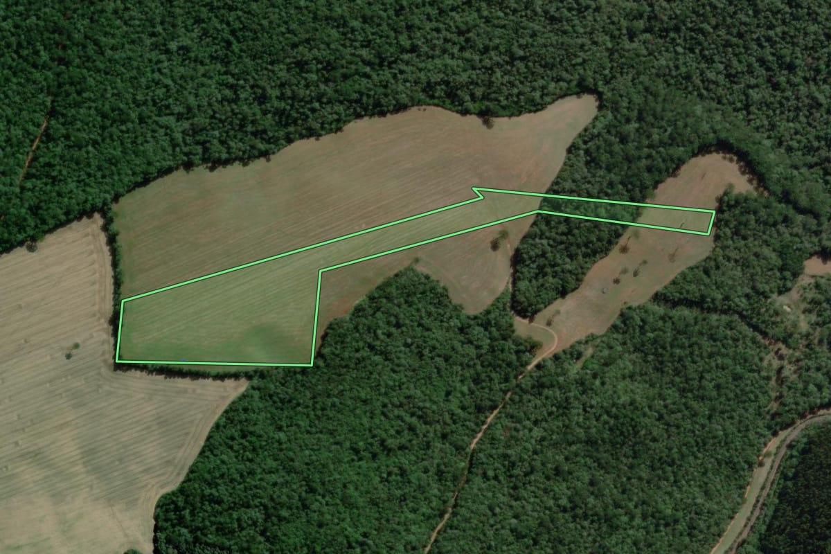 Imagem de satélite do imóvel rural em Teixeira Soares (PR), com o contorno declarado no CAR desenhado por cima.