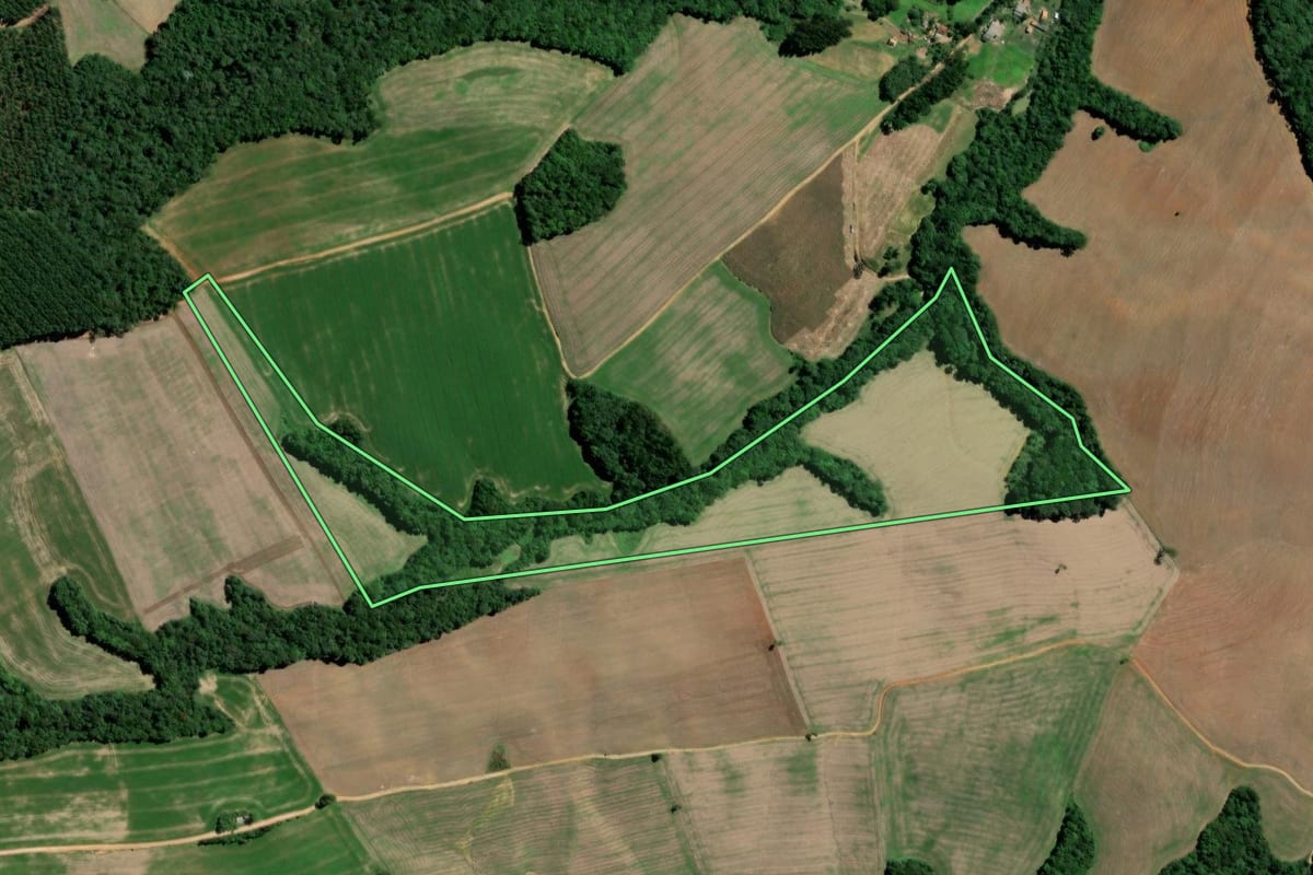 Imagem de satélite do imóvel rural em Teixeira Soares (PR), com o contorno declarado no CAR desenhado por cima.